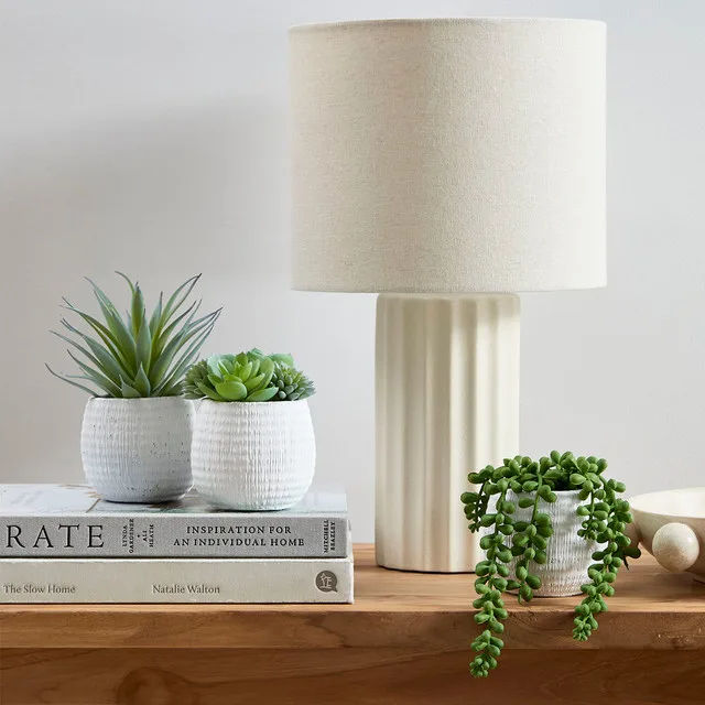 budget christmas gifts potted succulents