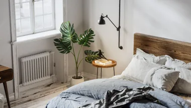 Modern bedroom with a large bed and blue quilt cover, as well as a green plant in the corner