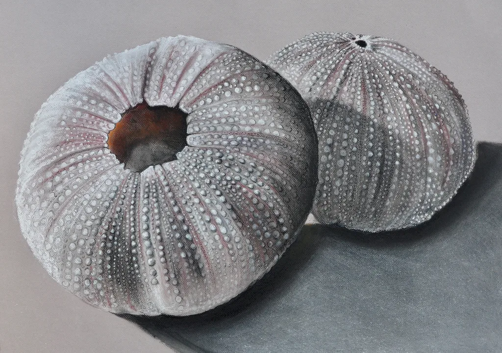 Sorrel Wilby's artwork