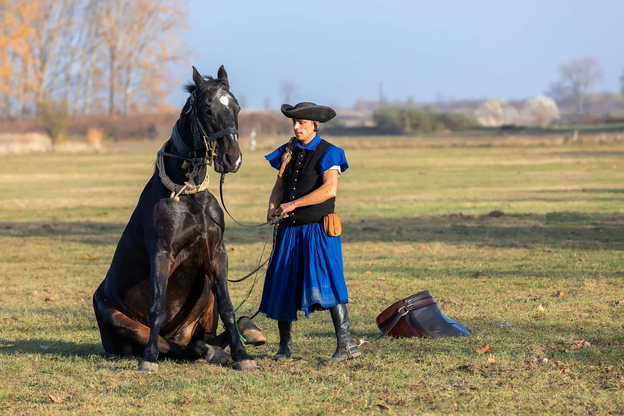 A horse show in Hungary.