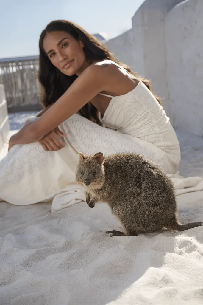 Rottnest Quokkas. Credit Steff King
