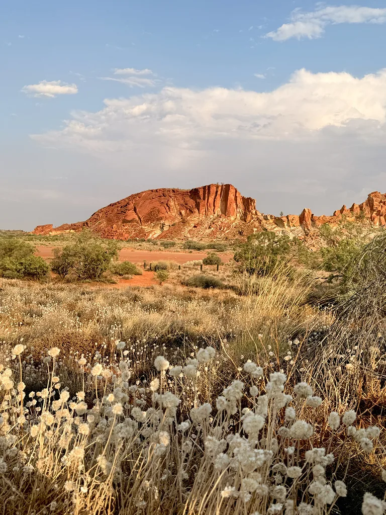 Landscape in the Northern Territory.