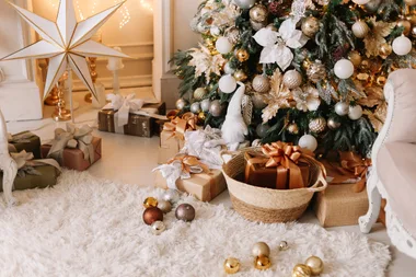 Spruce up your home this Christmas with the perfect tree for any space