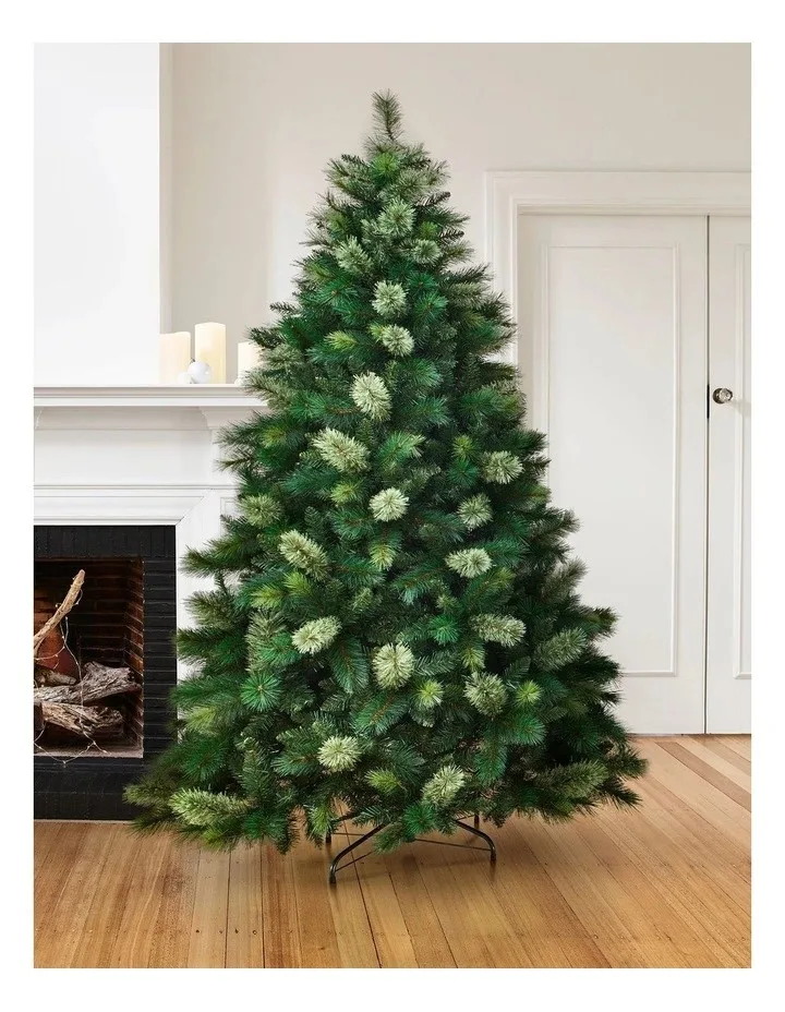 Best Christmas Tree Myer