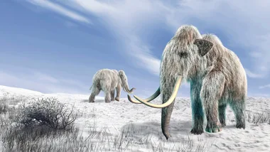 Will woolly mammoths save the world?