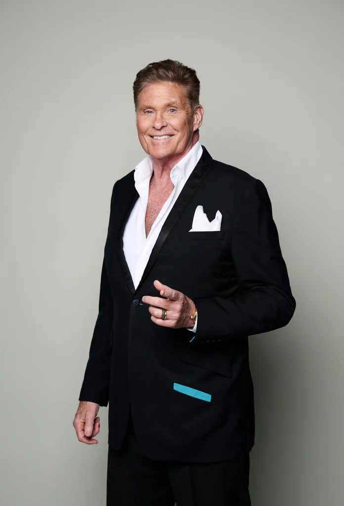 David Hasselhoff Christmas Song