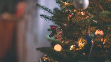 Best Christmas trees to buy online