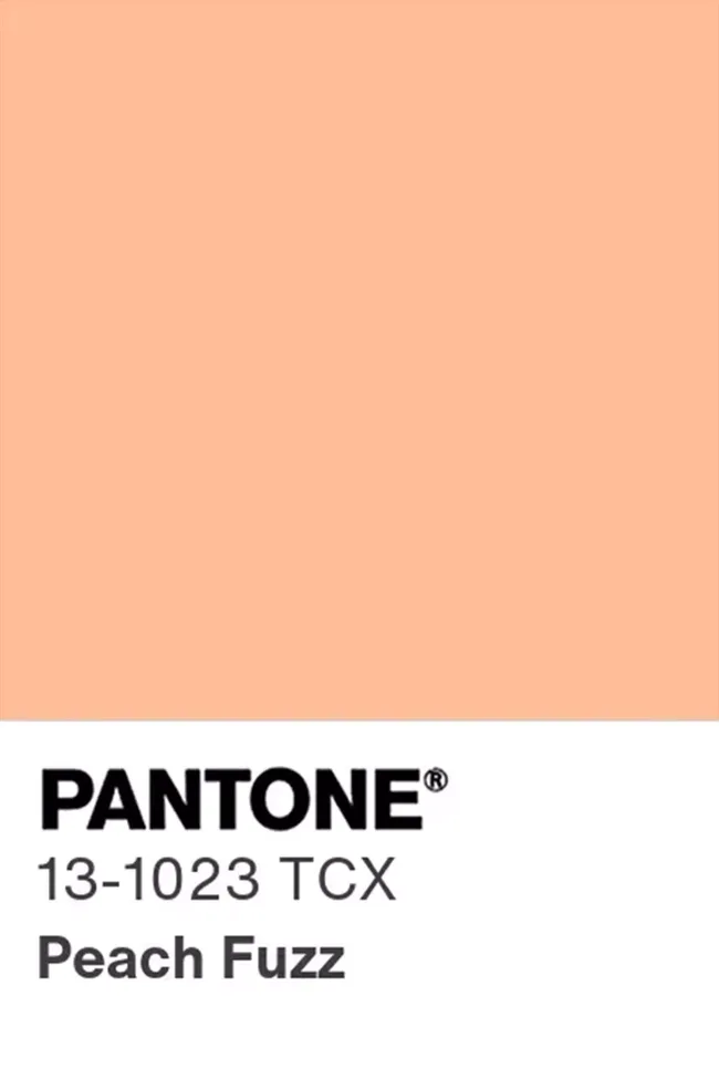 pantone colour of the year 2024 peach fuzz
