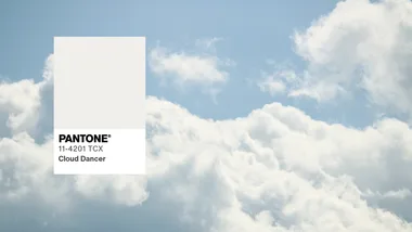 The Pantone Colour of the Year is here, and opinions are divided