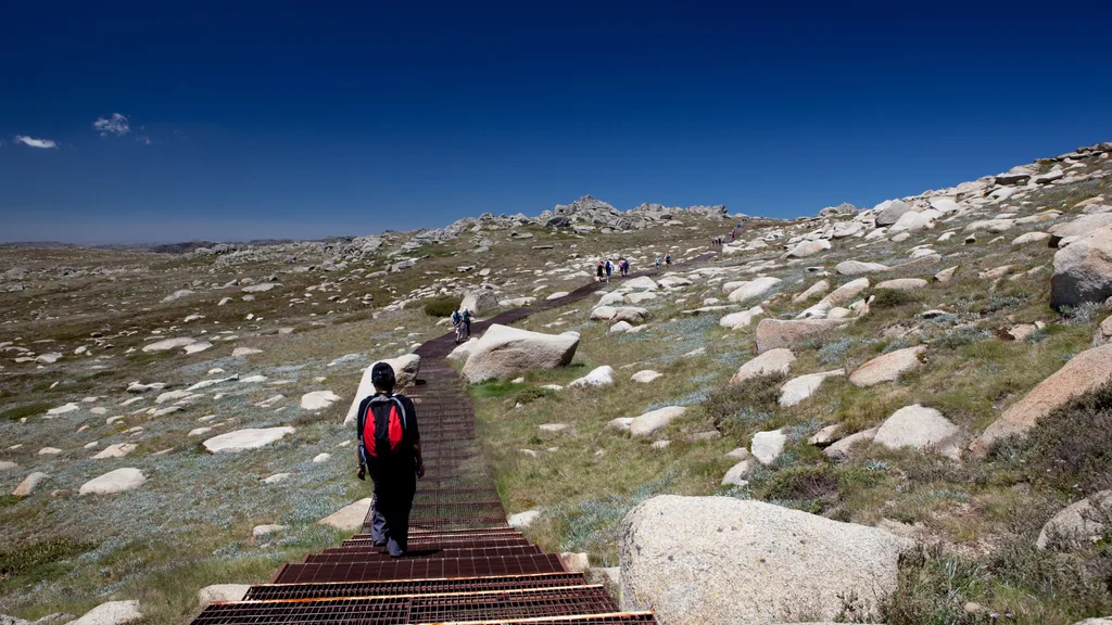 Mount Kosciuszko