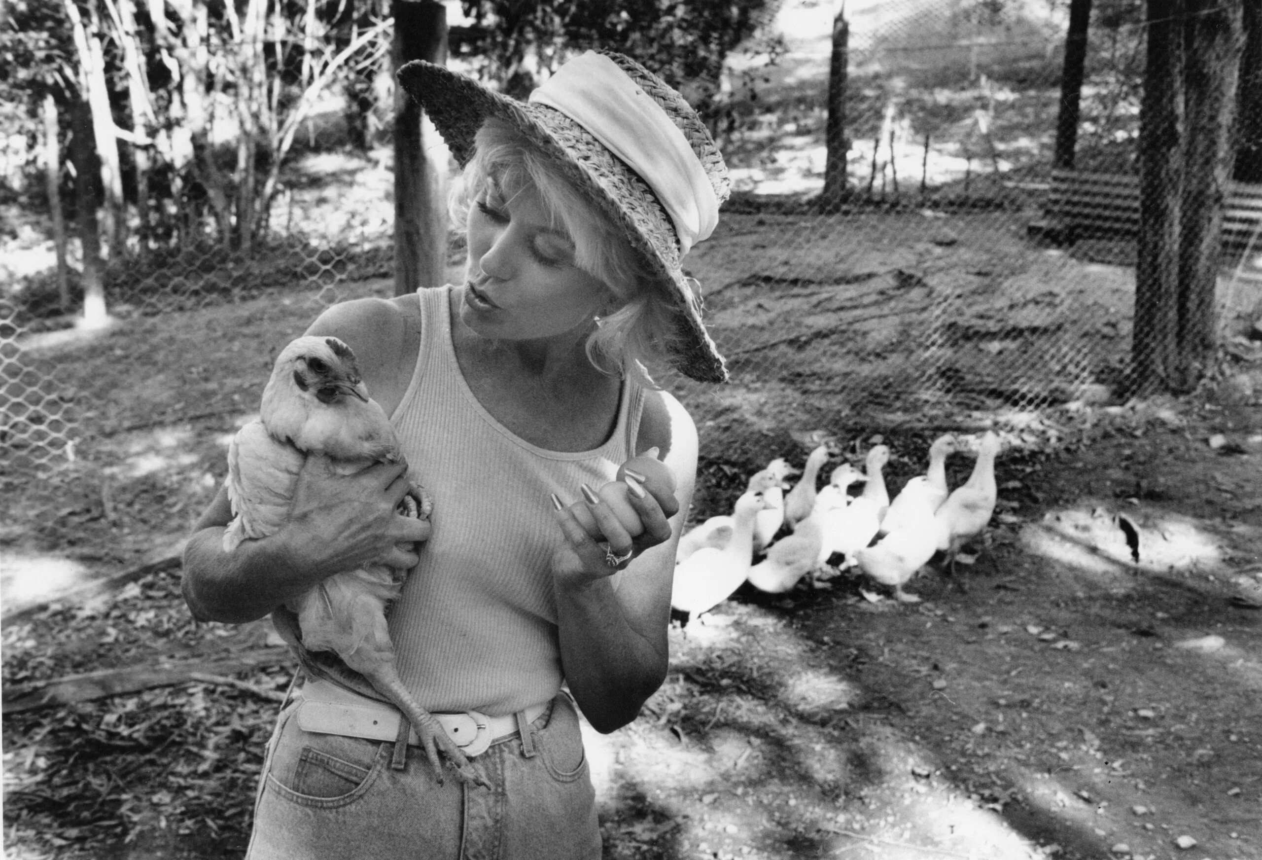 Di Morrissey, a white woman with blonde hair, cradles a chicken and holds eggs.