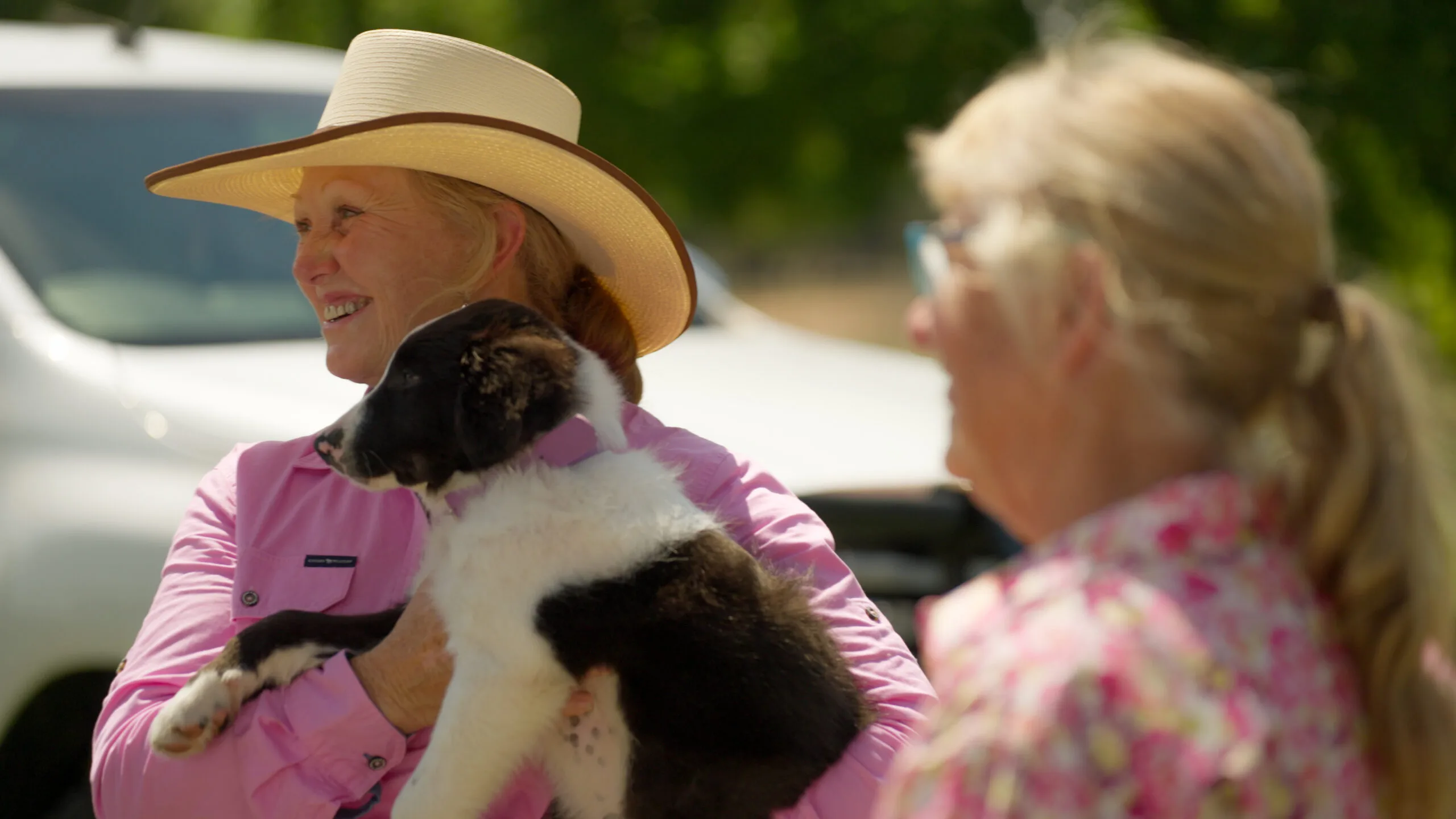 Muster Dogs Marlene with Hudson