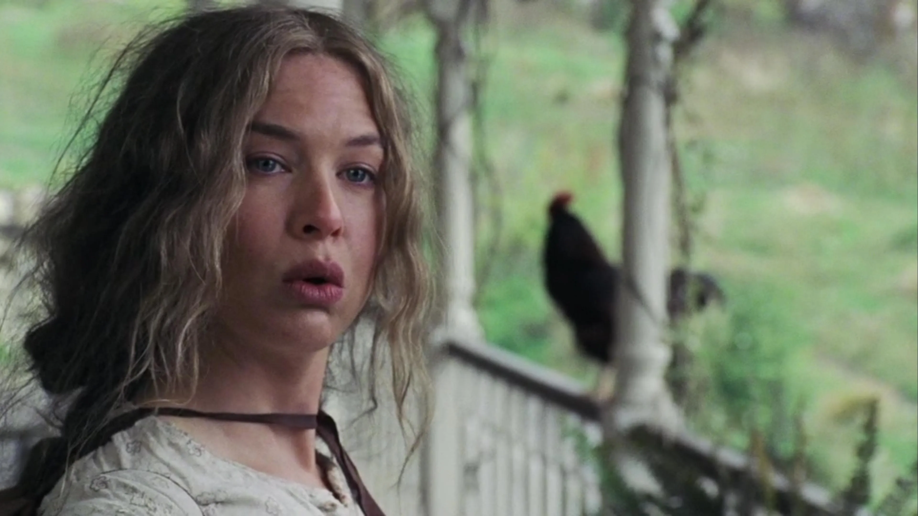 Renée Zellweger movies - cold mountain