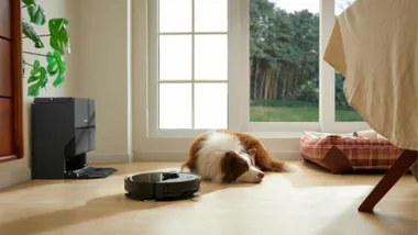 A black round robot vacuum cleaner navigates a light wooden floor in a bright room, with a brown and white dog resting beside it. A charging dock is visible in the background.