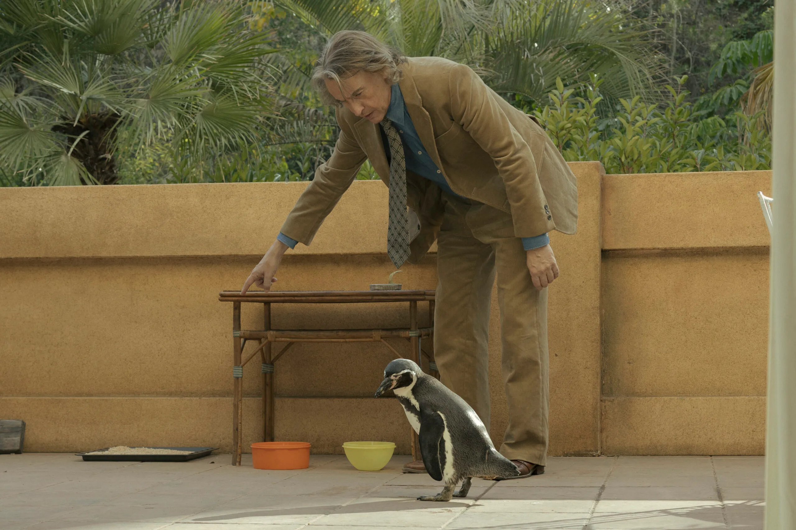steve coogan in the penguin lessons
