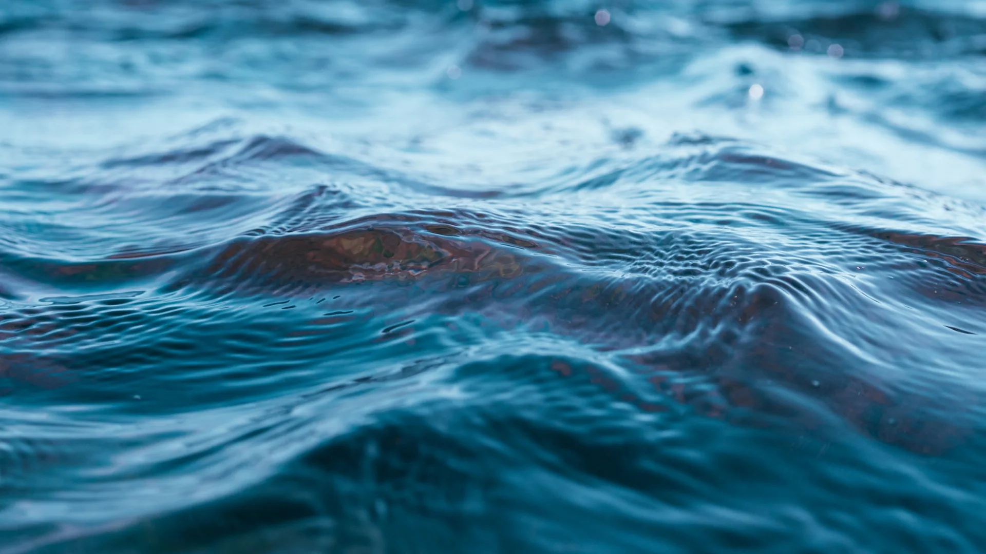 Water