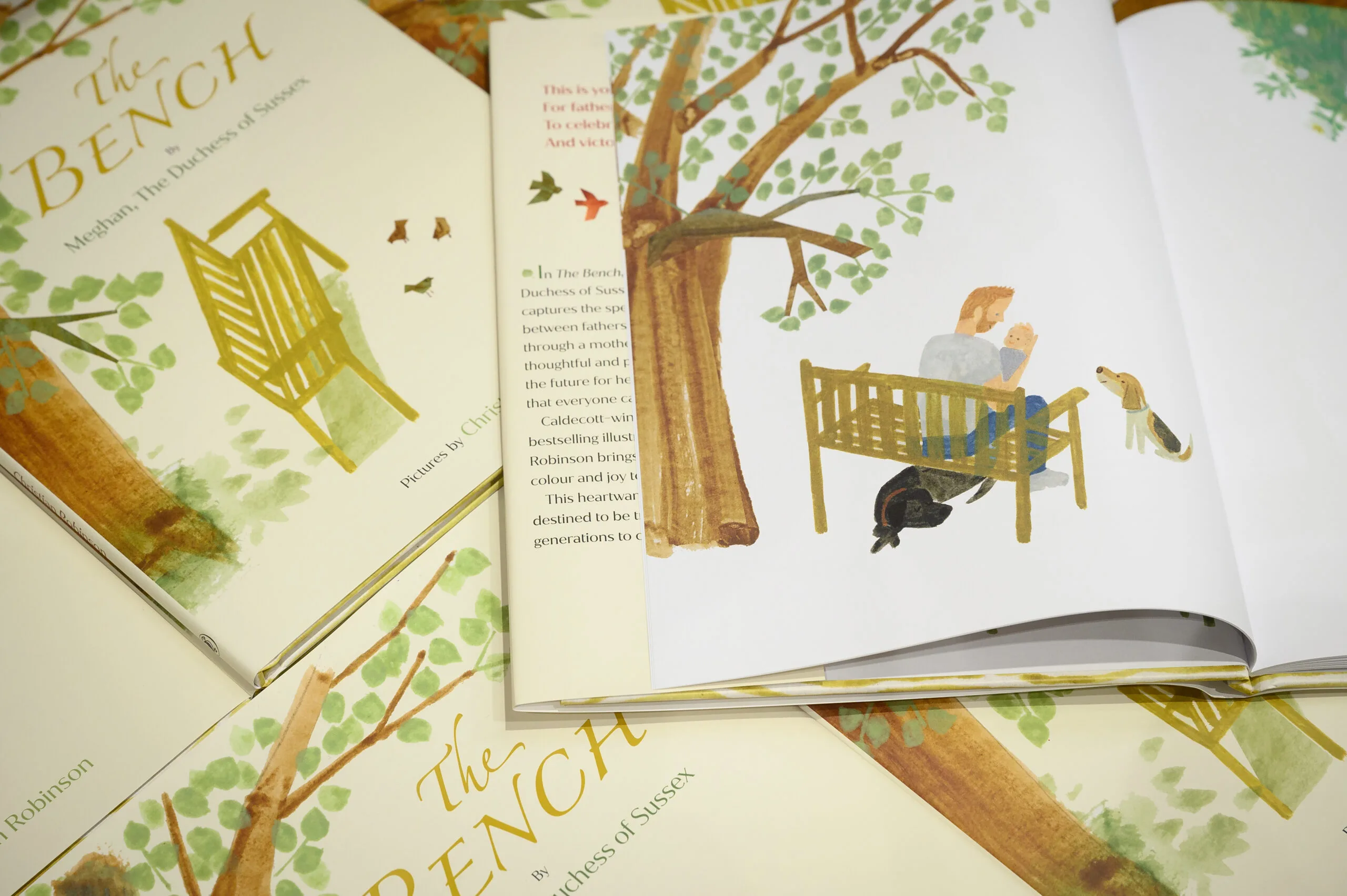 meghan markle's book the bench