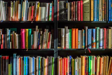 All the books on the “fearless” 2025 Stella Prize shortlist