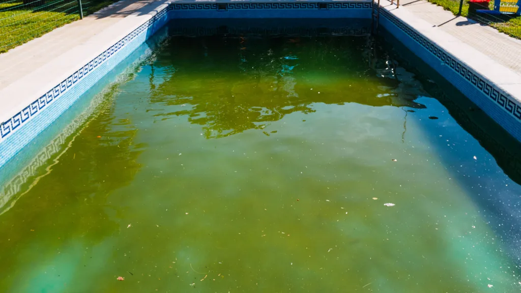 Stagnant water in swimming pool. Could be a risk for Legionnaires' disease