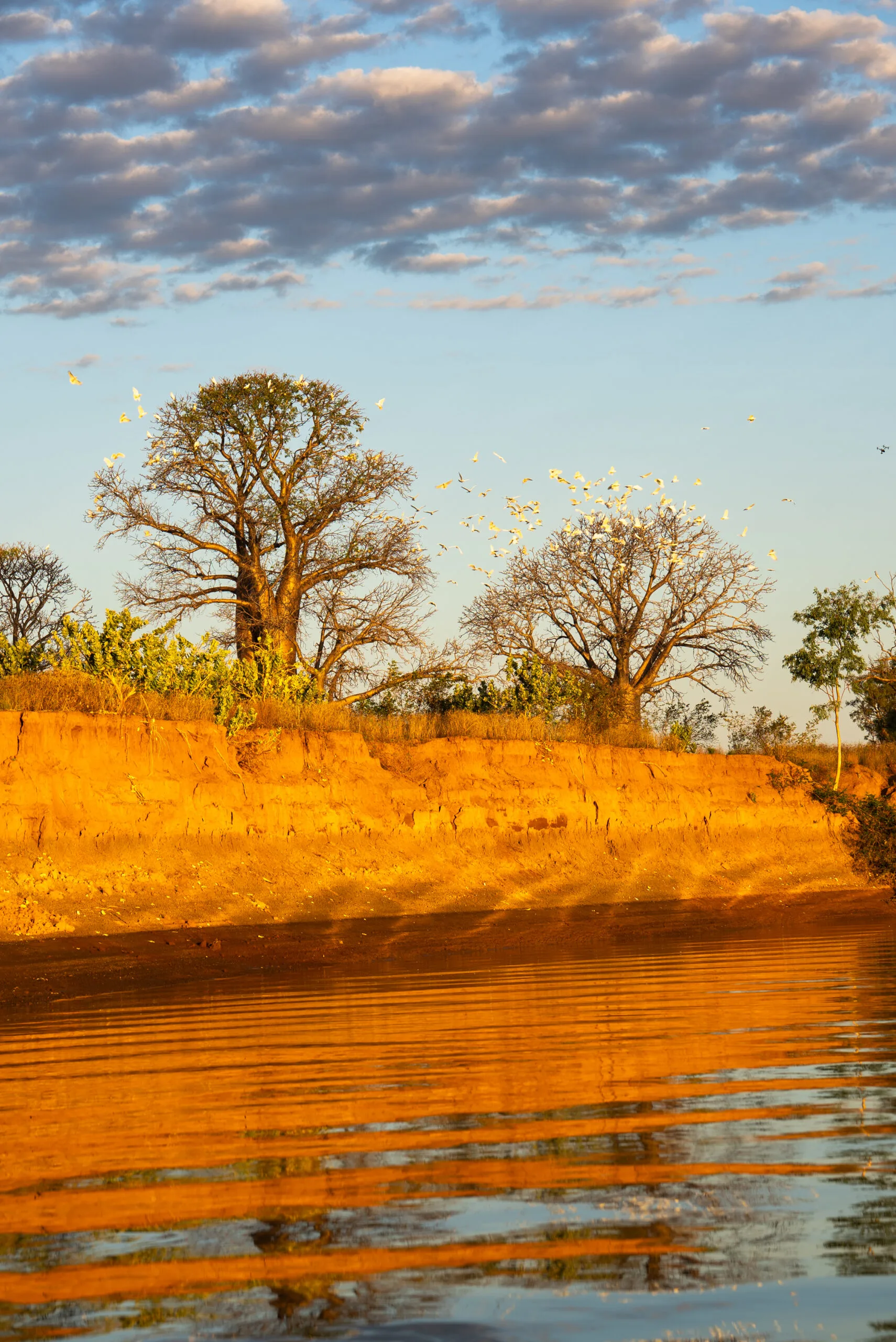 the kimberley tv series
