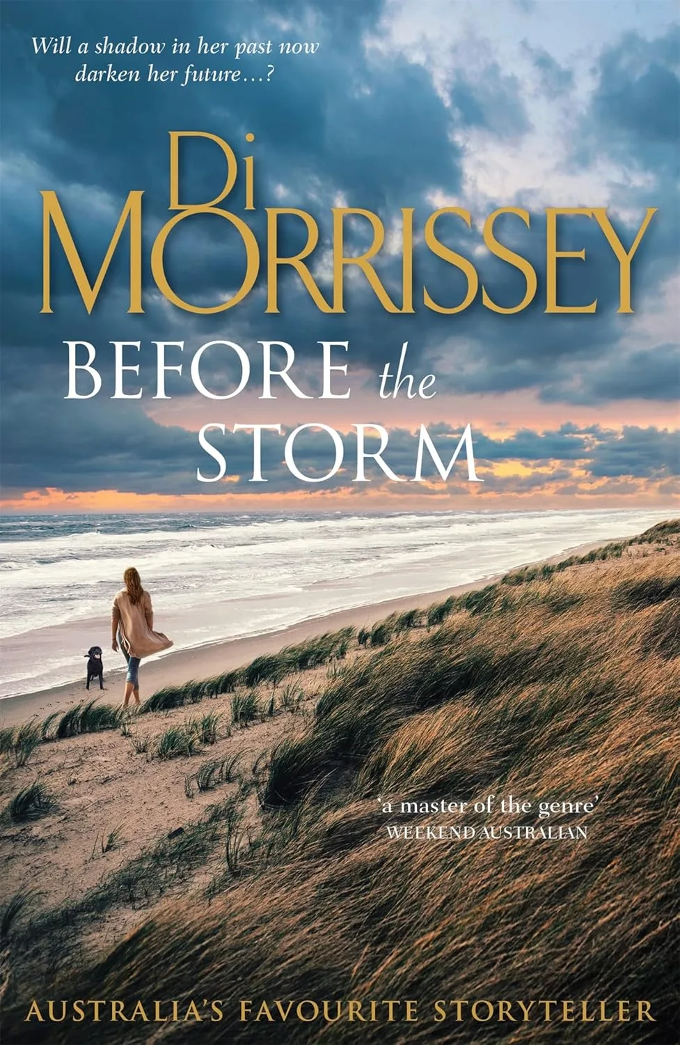 Di Morrissey book cover of Before the Storm. A woman and dog walk on a stormy beach.