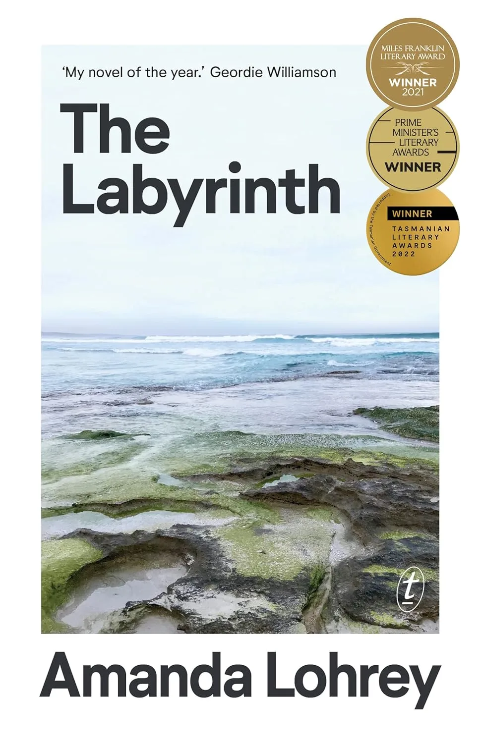 Book cover of The Labyrinth by Amanda Lohrey. An image of the ocean and rockpools.