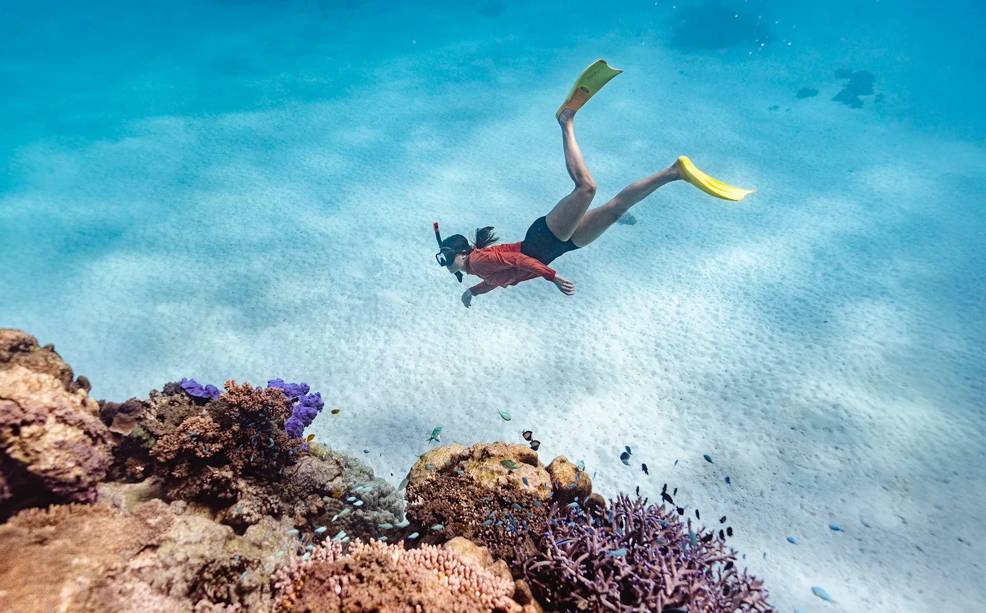A young woman with flippers snorkels among the fish and corals at Ningaloo Reef in Australia,