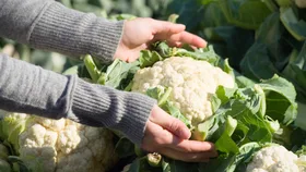 Eating more of these vegetables may cut your bowel cancer risk