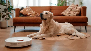 A white robot vacuum cleaner operating on a wooden floor next to a golden retriever lying on a round jute rug in a living room.