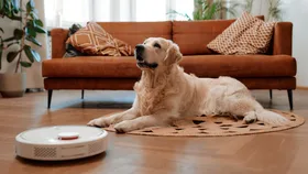 A white robot vacuum cleaner operating on a wooden floor next to a golden retriever lying on a round jute rug in a living room.