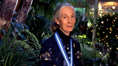 Prince Harry, Jane Fonda and more tribute the late conservationist Dr Jane Goodall