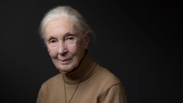 Dr Jane Goodall has passed away from natural causes