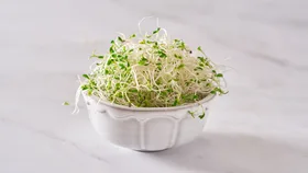 Alfalfa sprouts