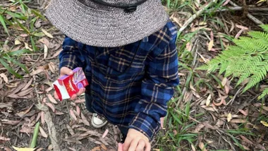 Christmas dried fruit