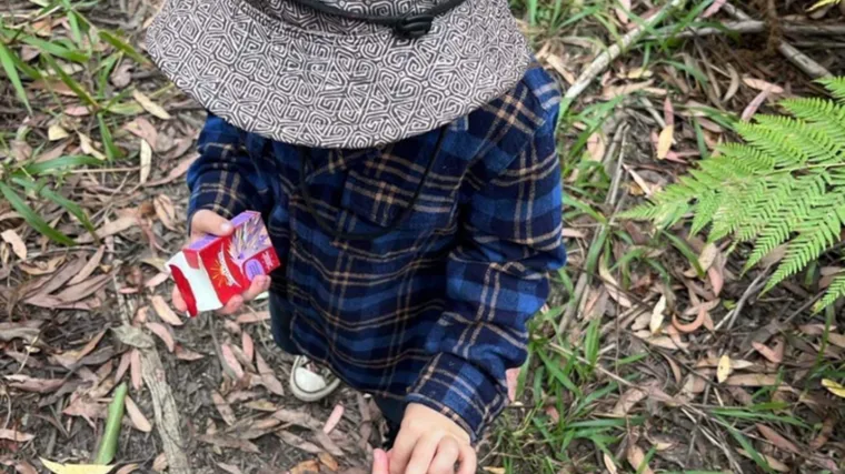 Christmas dried fruit