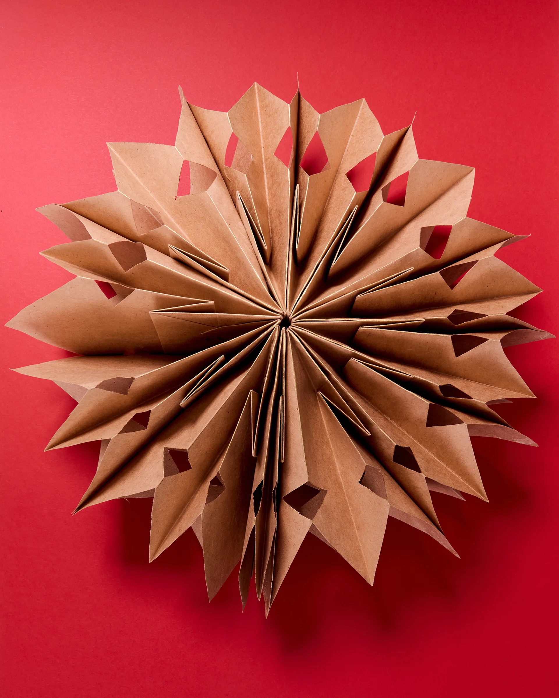 Paper star bloom photography by Lauren Trompp