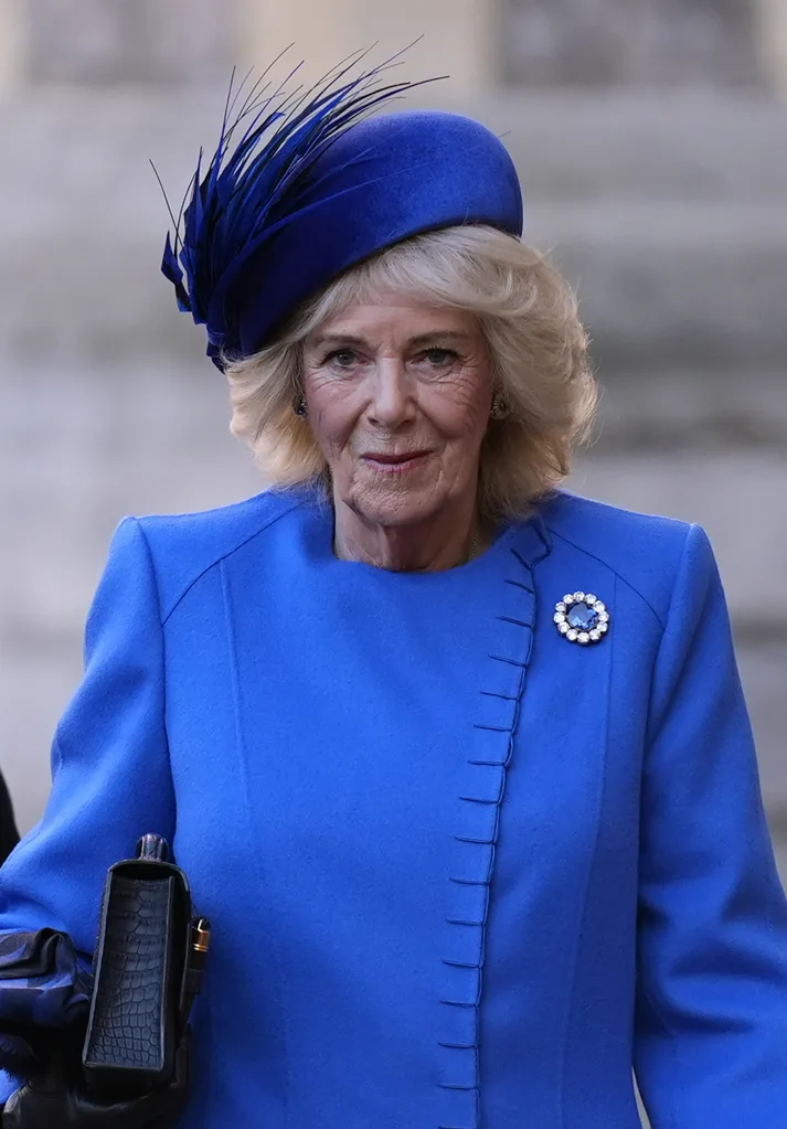 The 2026 horoscopes for King Charles, Queen Camilla and more - The ...