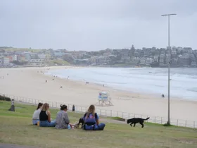 Bondi Shooting: What happened and how you can help