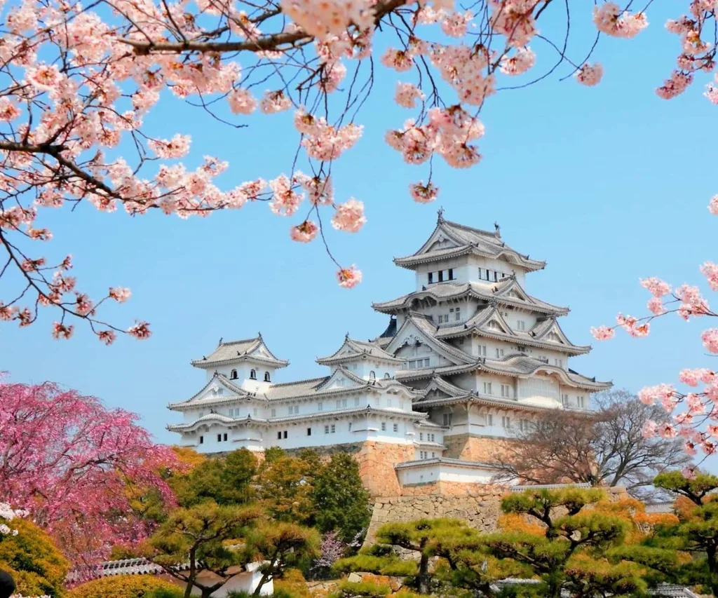 A stunning view of the multi-tiered white Himeji Castle rising above stone foundations and green trees. Pale pink cherry blossom branches frame the top of the shot against a bright blue spring sky.