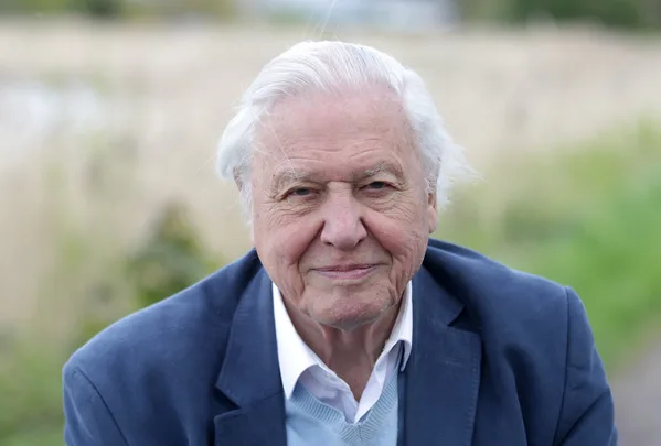 Sir David Attenborough celebrations for his 100th birthday