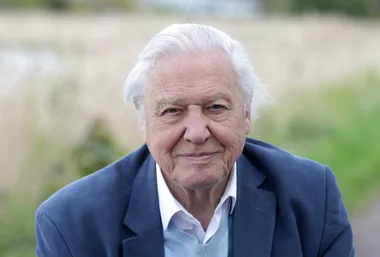 Sir David Attenborough celebrations for his 100th birthday