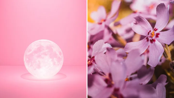 What is the Pink Full Moon and how will it affect you?