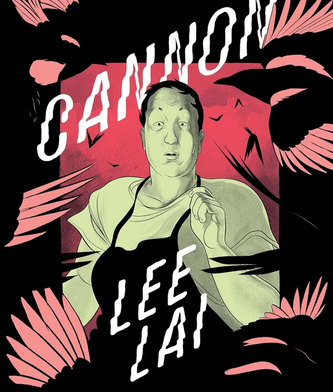 stella prize nominee book cover, illustration of a woman surrounded by flying birds