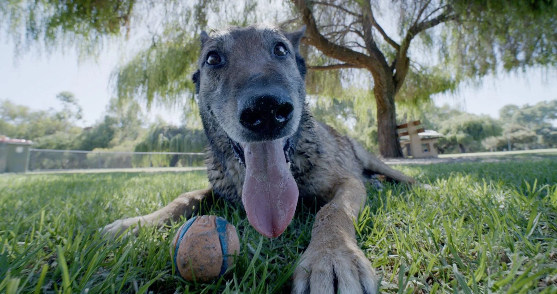 Keni lived a happy retirement life. Photo supplied.