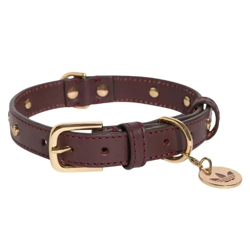 adidas Originals PET COLLAR - collegiate burgundy