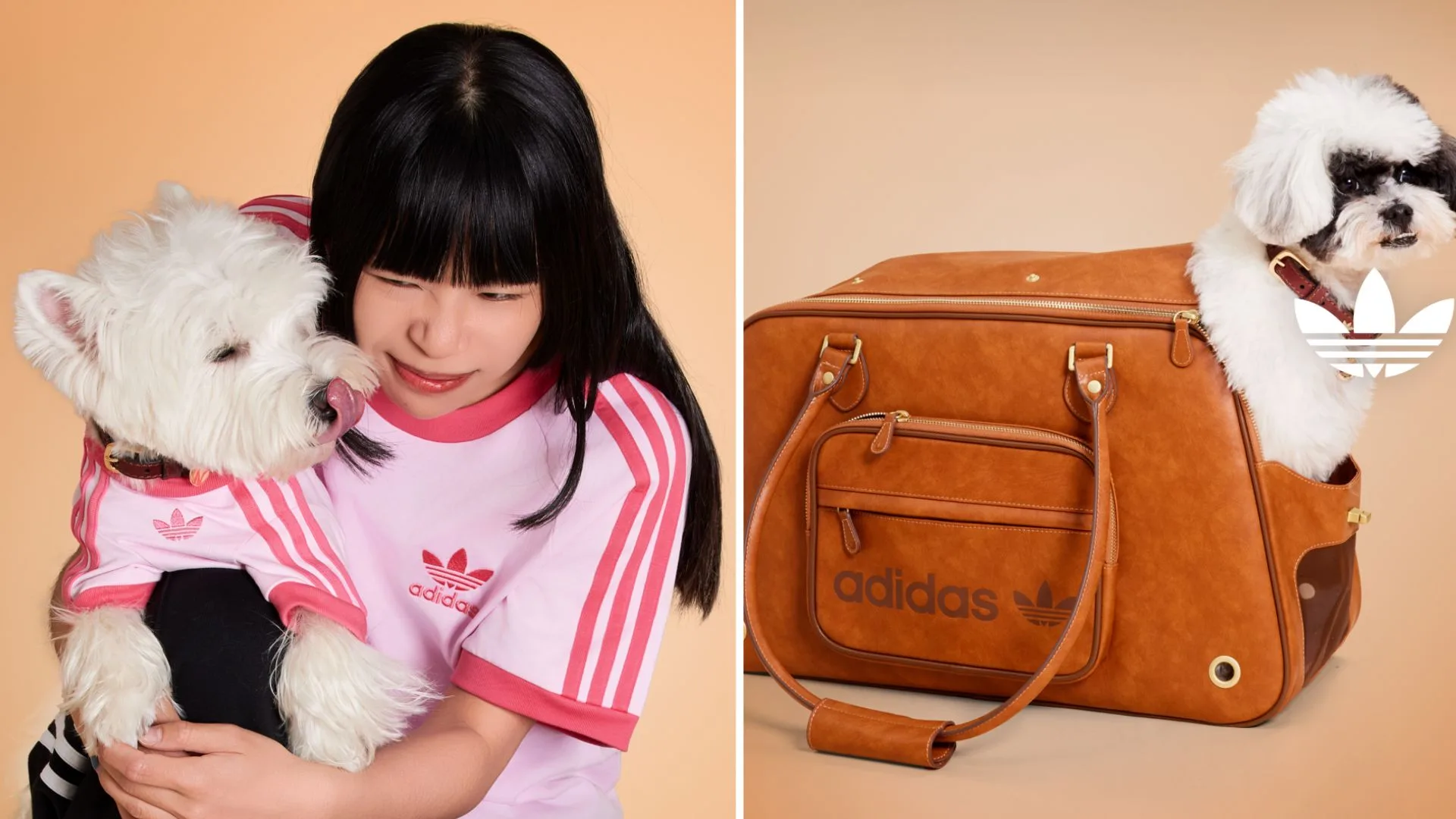 Split image for a pet fashion article. The left side shows a woman with long dark hair hugging a white fluffy dog; both are wearing matching light pink Adidas t-shirts with dark pink stripes. The right side shows a small white and black dog sitting inside a large, tan-coloured leather-look Adidas pet carrier featuring gold hardware and the brand's logo.