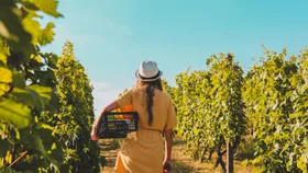 I worked in wine for years: Here are my favourite women-led wineries