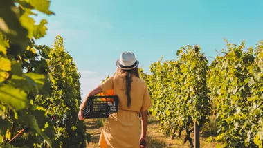 I worked in wine for years: Here are my favourite women-led wineries