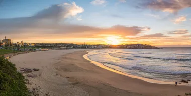 Bondi Royal Commission interim report is here