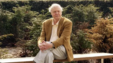 EXCLUSIVE: Celebrating Sir David Attenborough’s legacy